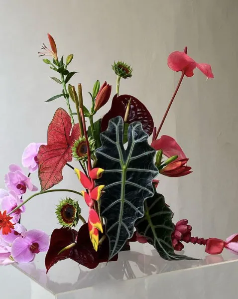 pink orchids and green jungle leaves by opm florists 